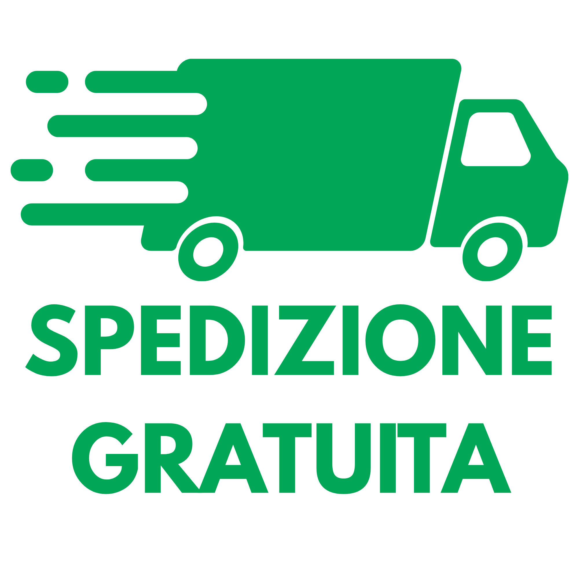 Spedizione Veloce