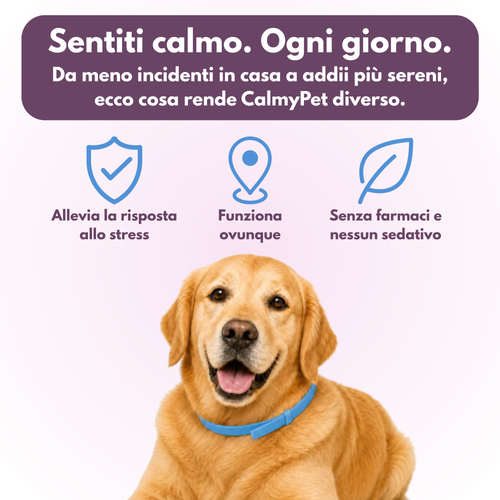 Collare calmante per cani